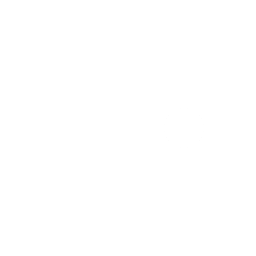 new patient special q a dental